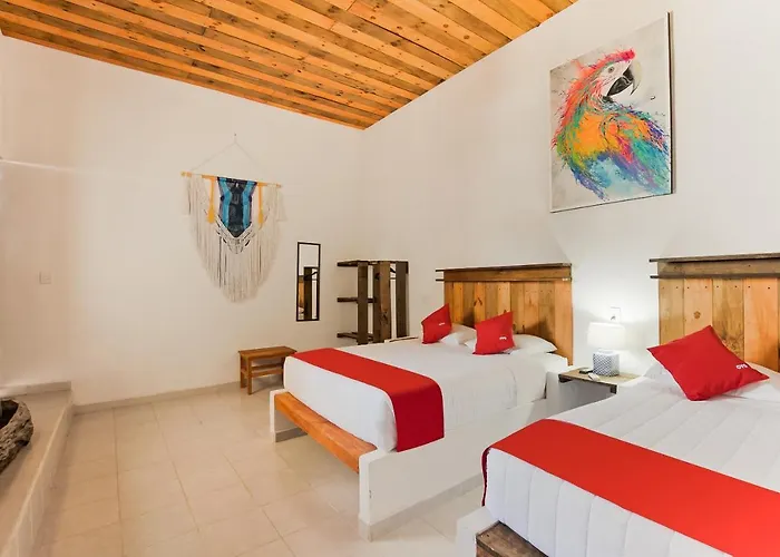 Oyo Jarro Café Hotel